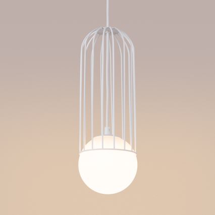 Hängeleuchte an Schnur BRINA 1xG9/8W/230V weiß