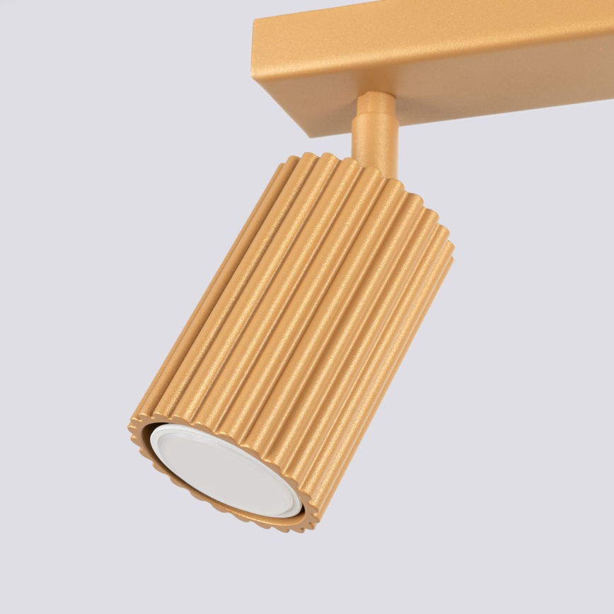 Strahler KARBON 2xGU10/10W/230V golden