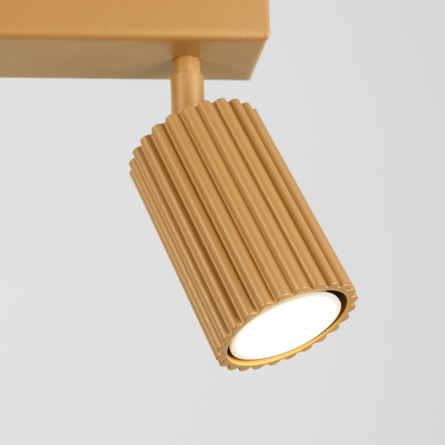 Strahler KARBON 2xGU10/10W/230V golden