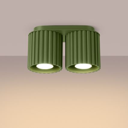 Spotleuchte AURA 2x GU10/10W/230V, grün