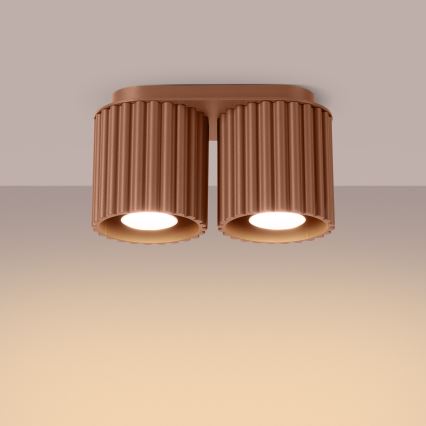 Spotleuchte AURA 2xGU10/10W/230V braun