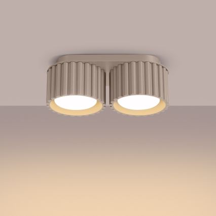 Deckenstrahler AURA 2xGX53/10W/230V taupe