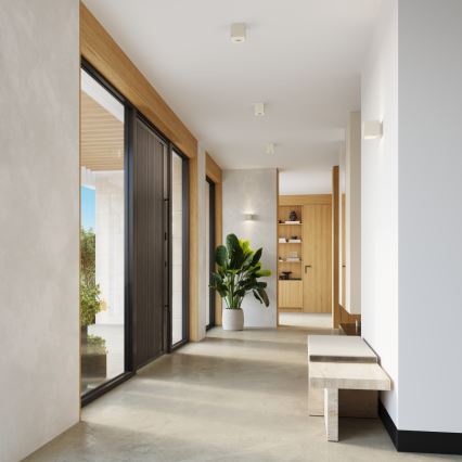 Spotleuchte QUAD 1xGU10/10W/230V Beton/Creme