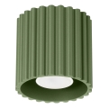 Spotleuchte AURA 1xGU10/10W/230V Ø 10 cm grün