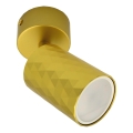 Spotleuchte FAMA 1xGU10/30W/230V goldfarben