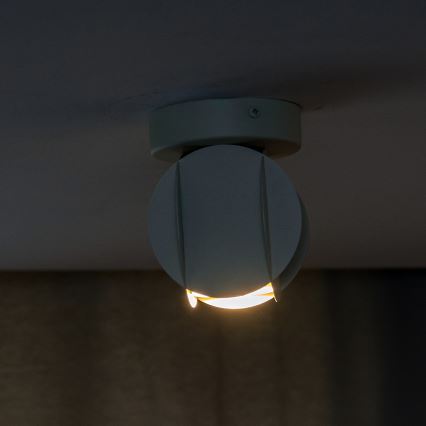 Spotleuchte GAMBIT 1xGU10/10W/230V weiß