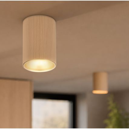 Spotleuchte TUBE 1xGU10/15W/230V beige