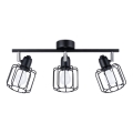 Spotlight BELUCI 3xE14/40W/230V schwarz