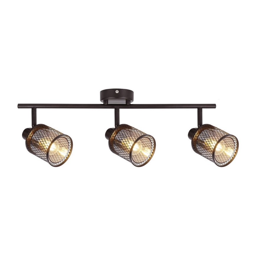 Spotlight CANABERA 3xE14/40W/230V