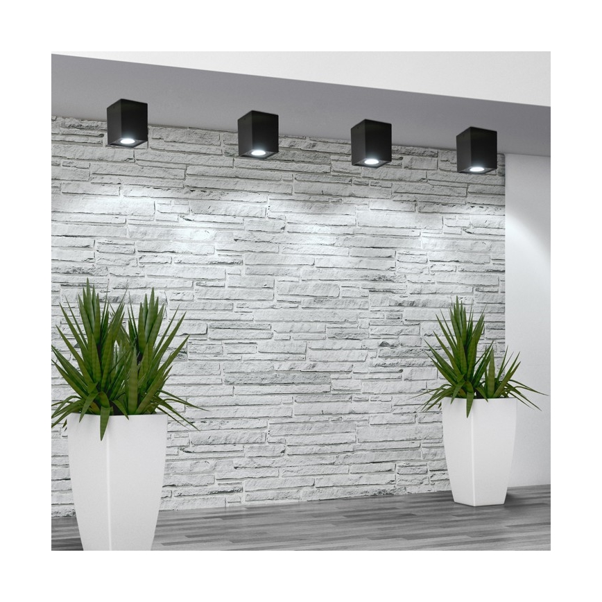 Spotlight HADAR Q1 1xGU10/10W/230V schwarz