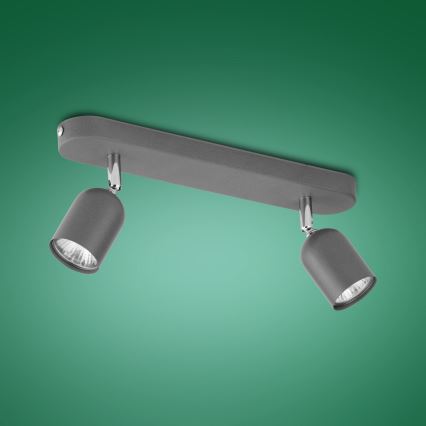 Spotlight TOP 2xGU10/10W/230V grau