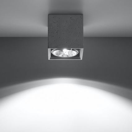 Spotlight VALDE 1xGU10/40W/230V