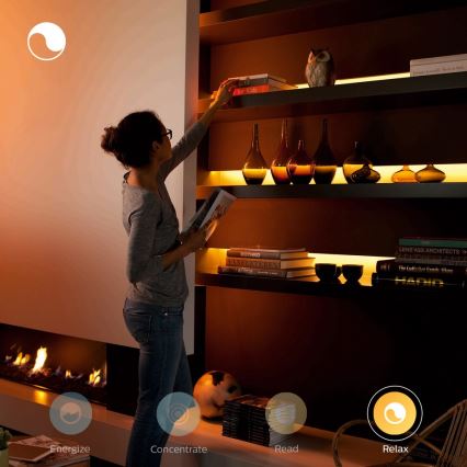 Starterset LED Streifen Philips Hue LightStrips 2m