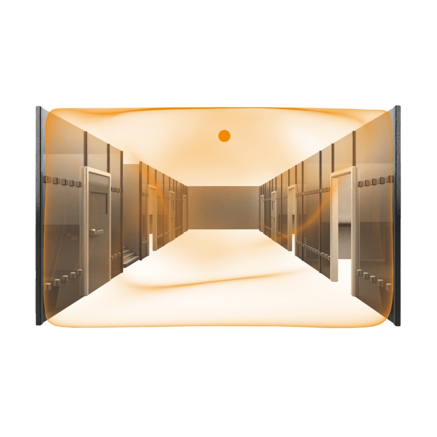 STEINEL 007850 - Bewegungssensor Dual US COM2