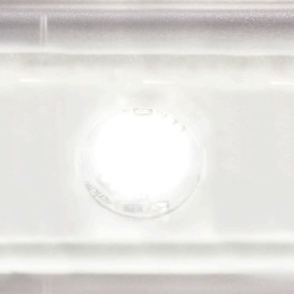 STEINEL 053949-LED Außenwandleuchte mit Sensor L665 LED/10W/230V IP44