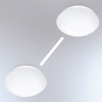 Steinel 056070 - LED Außenleuchte mit Sensor RS PRO LED/16W/230V IP54