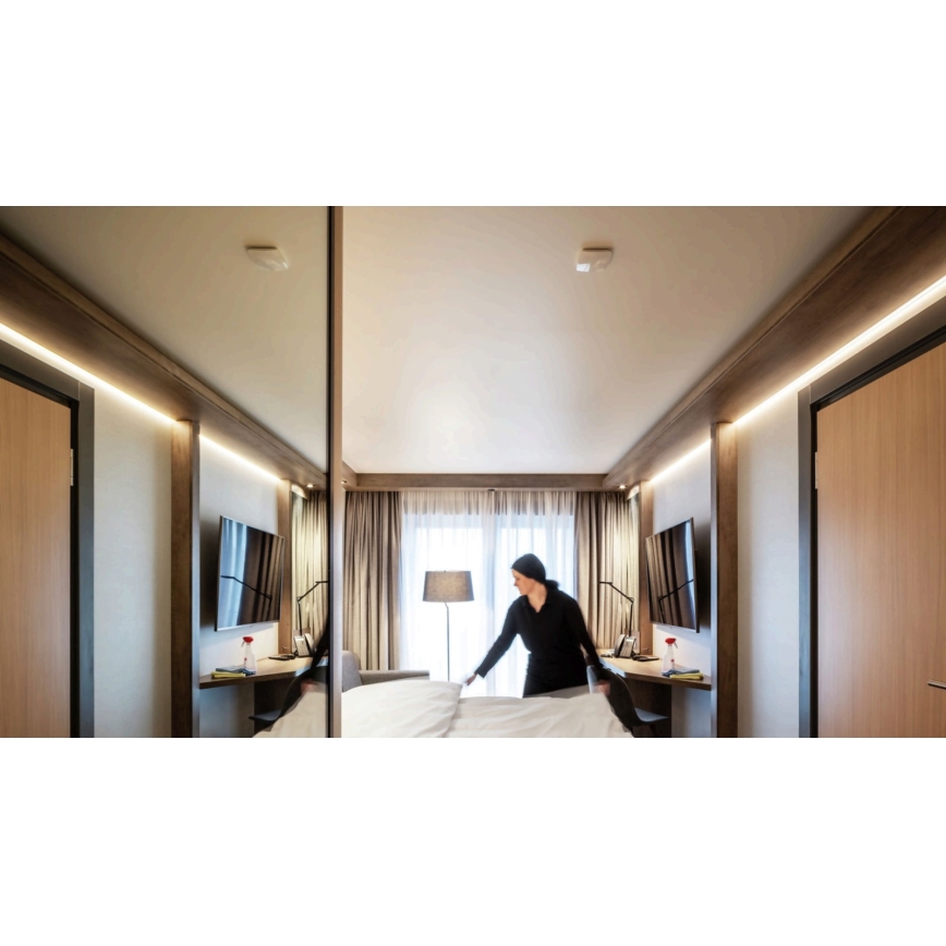STEINEL 056339 - Bewegungsmelder TRUE PRESENCE KNX