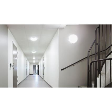Steinel 067540 - Dimmbare LED-Deckenleuchte mit Sensor RS PRO S20 SC 15,7W/230V 4000K