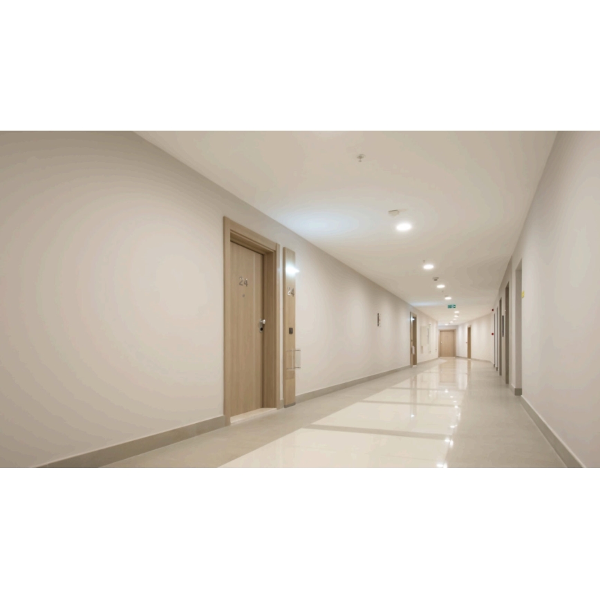 Steinel 080655 - Bewegungsmelder IS 345 DALI-2 APC rund weiß