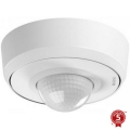 Steinel 088019 - Outdoor-Bewegungssensor mit Präsenzsensor PD-24 ECO KNX 360° IP54 weiß