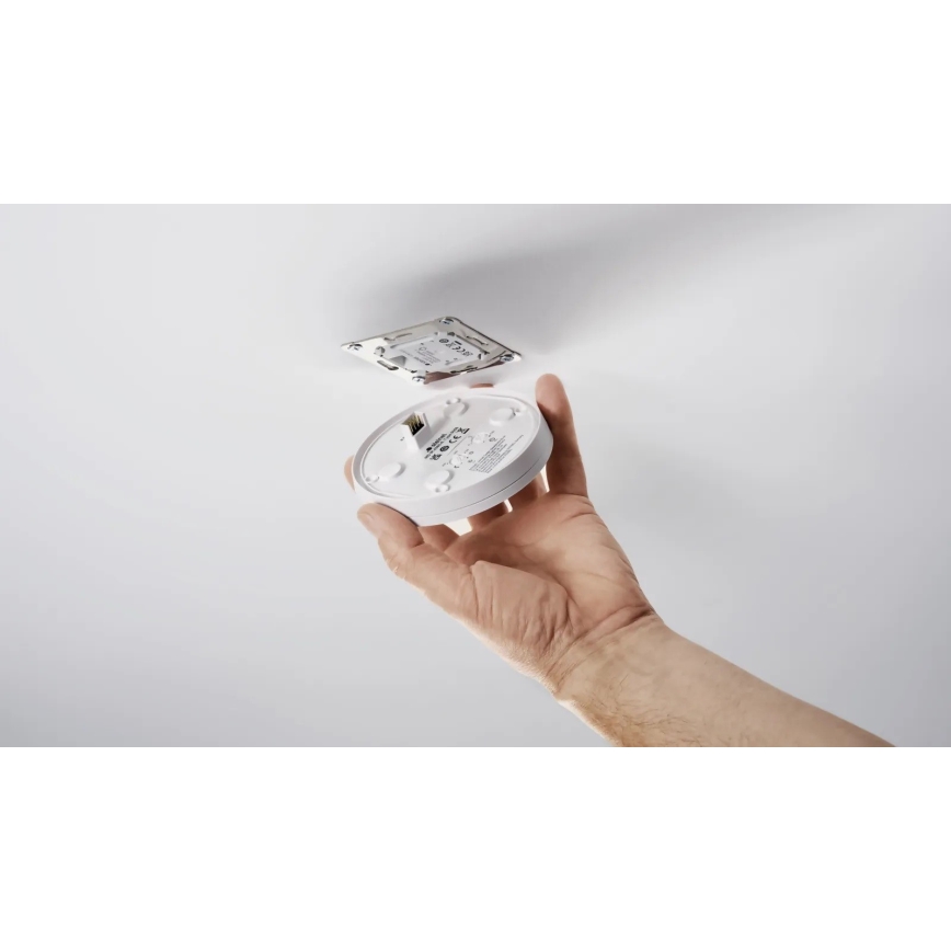Steinel 088279 - Bewegungssensor mit Präsenzsensor PD-24 ECO DALI-2 360° weiß