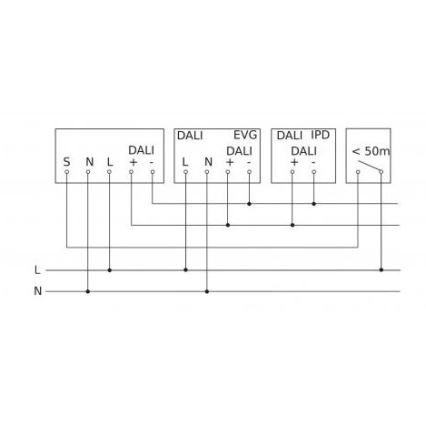 Steinel 088279 - Bewegungssensor mit Präsenzsensor PD-24 ECO DALI-2 360° weiß