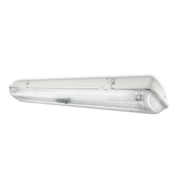 STEINEL 743413 - Hochleistungs-Leuchtstofflampe mit Sensor FRS 30 2xG13/18E/230V weiß IP65