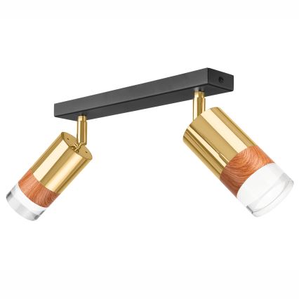 Strahler AURORA 2xGU10/10W/230V