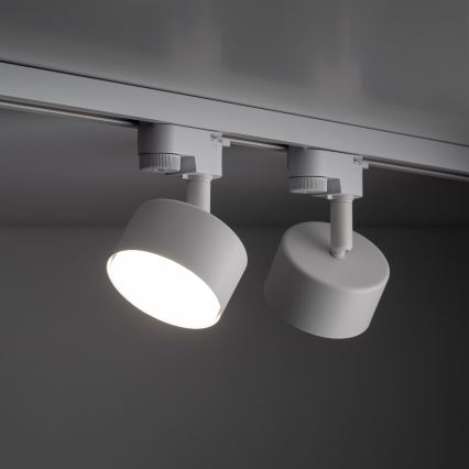 Strahler für 1-Phasen-Schienensystem AVIA 1xGX53/15W/230V weiß