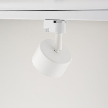 Strahler für 1-Phasen-Schienensystem AVIA 1xGX53/15W/230V weiß