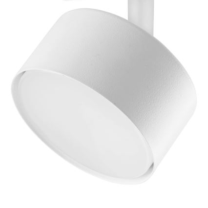 Strahler für 1-Phasen-Schienensystem AVIA 1xGX53/15W/230V weiß