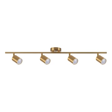 Strahler GOLDI 4xGU10/10W/230V golden