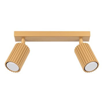Strahler KARBON 2xGU10/10W/230V golden