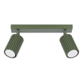 Strahler KARBON 2xGU10/10W/230V grün