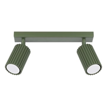 Strahler KARBON 2xGU10/10W/230V grün