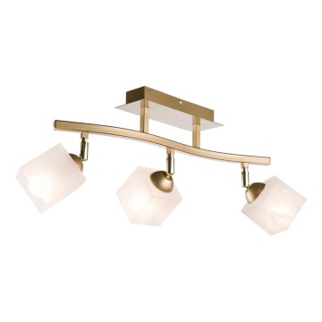 Strahler KLARA 3xE14/40W/230V golden