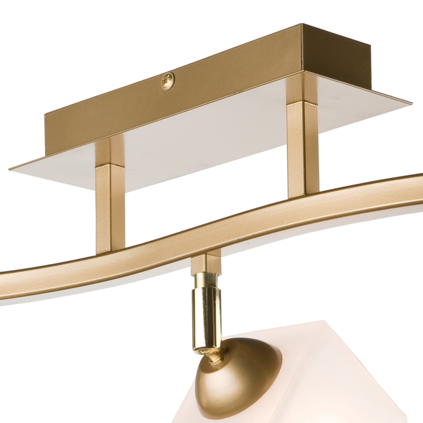 Strahler KLARA 3xE14/40W/230V golden