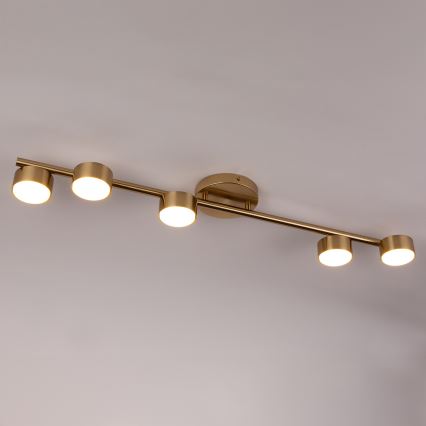 Strahler PUNTO 5xGX53/12W/230V golden