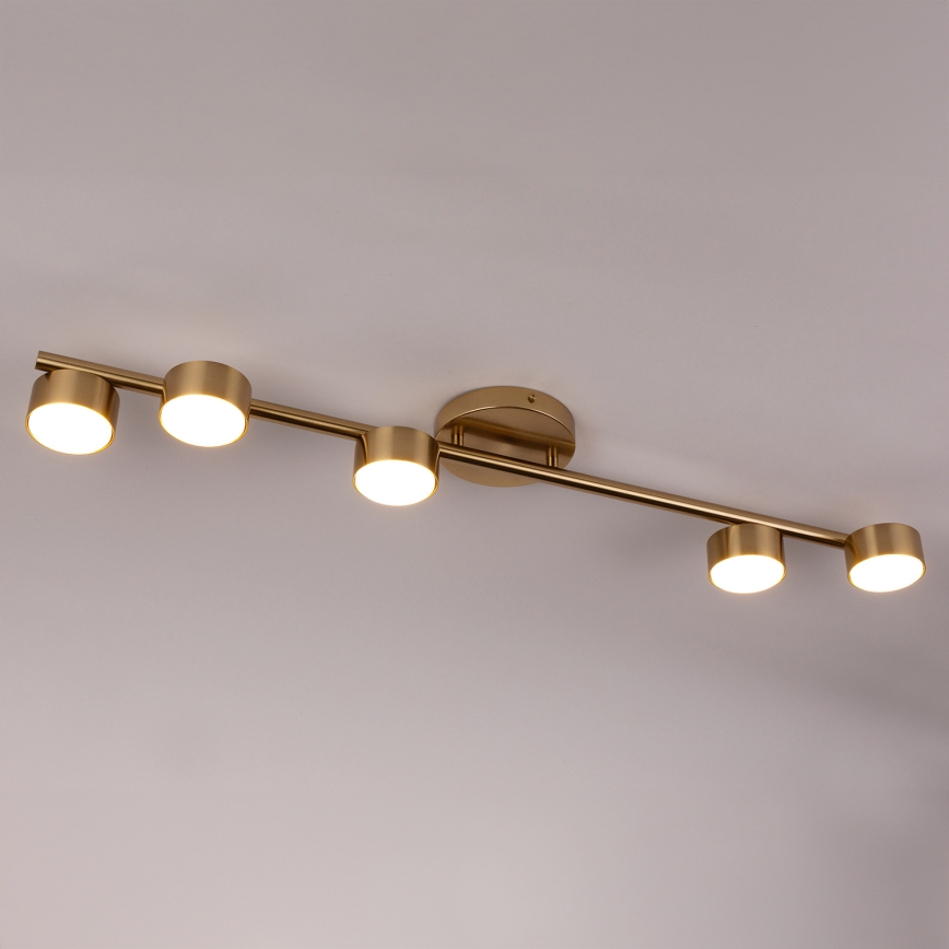 Strahler PUNTO 5xGX53/12W/230V golden