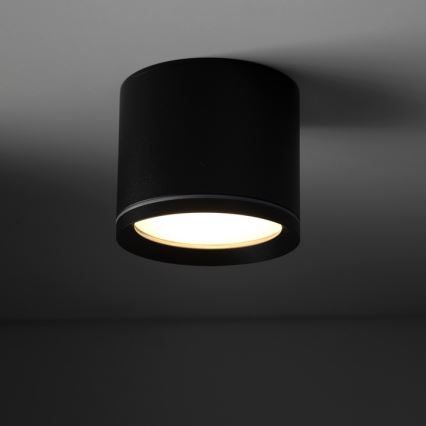 Strahler VIVO 1xGX53/10W/230V 6 cm schwarz