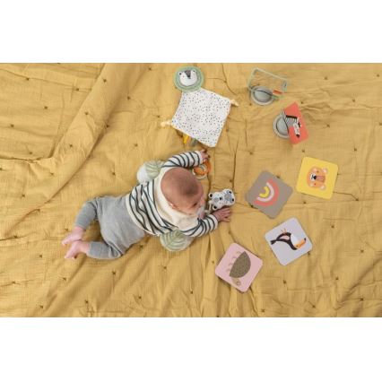 Taf Toys - Geschenkbox HELLO BABY