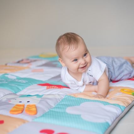 Taf Toys - Kinderspielmatte Tiere