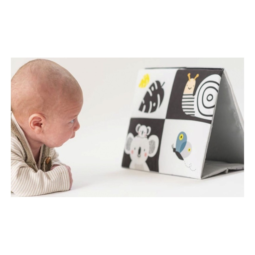 Taf Toys - Kinderstoffbuch mit Spiegel schwarz