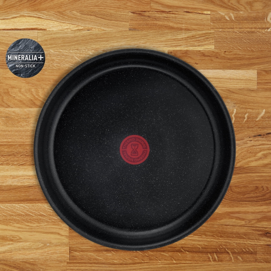 Tefal - 13-teiliges Kochgeschirr-Set INGENIO PERFECT COOK