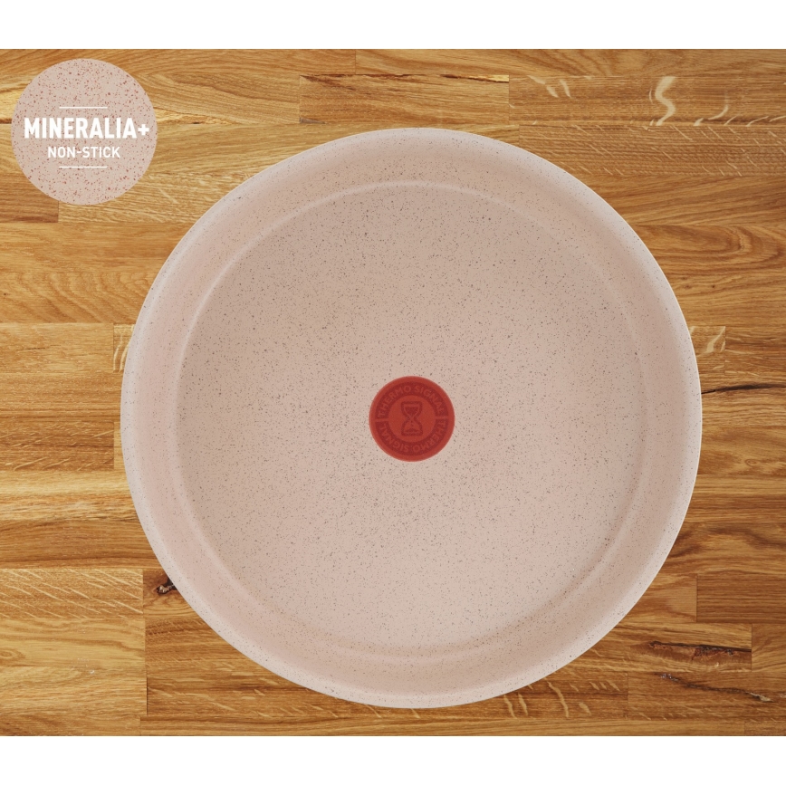 Tefal - 17-teiliges Kochgeschirrset INGENIO DELIGHT