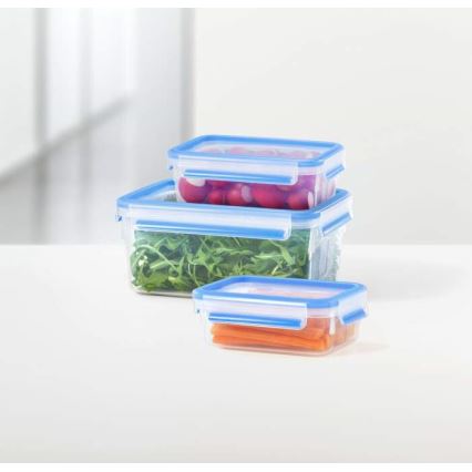 Tefal - 5-tlg. Set Vorratsdosen MASTER SEAL FRESH, blau