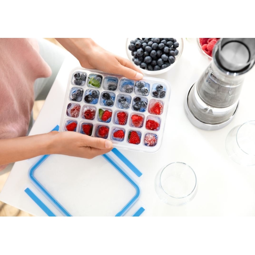 Tefal – Eiswürfelform MASTER SEAL für 24 Würfel, blau