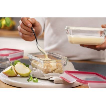 Tefal - Frischhaltedose 0,45 l MSEAL GLASS rot/Glas