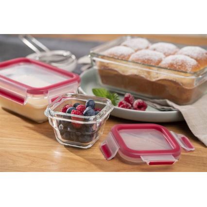 Tefal - Frischhaltedose 0,45 l MSEAL GLASS rot/Glas