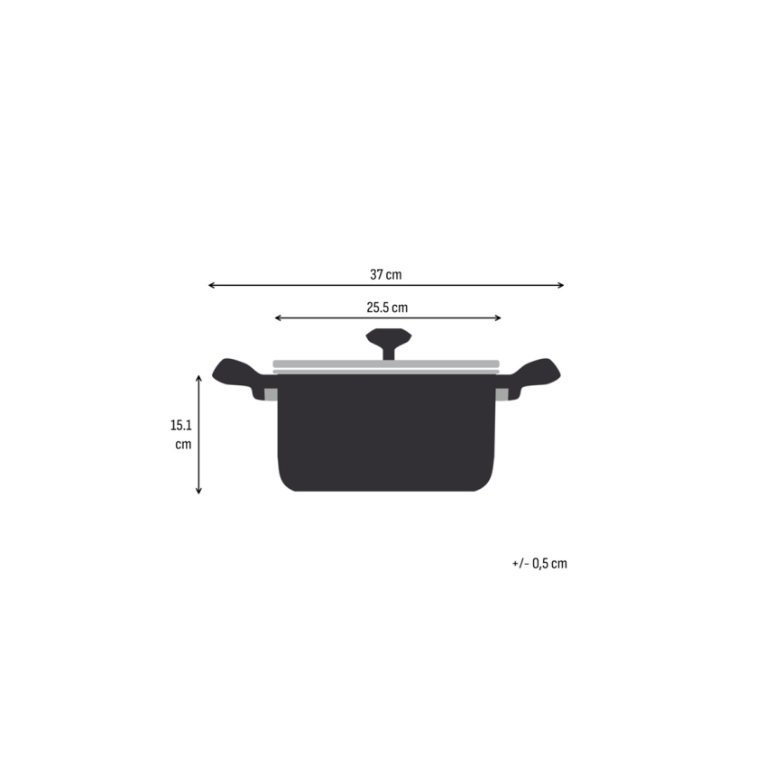 Tefal - Kochtopf mit Deckel EXTREME 24 cm